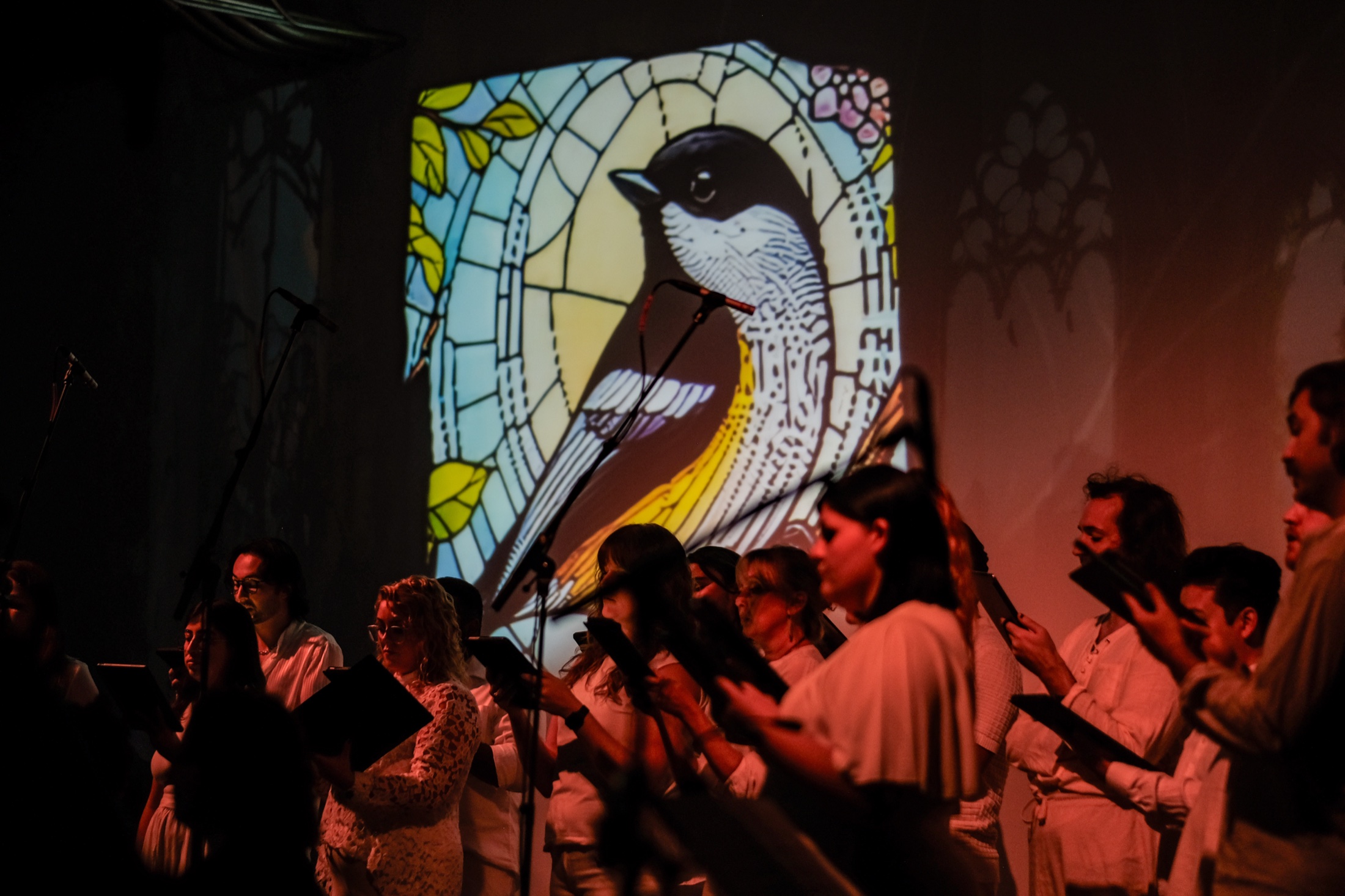 Verdigris Ensemble performing in front of bird imagery during The Endangered