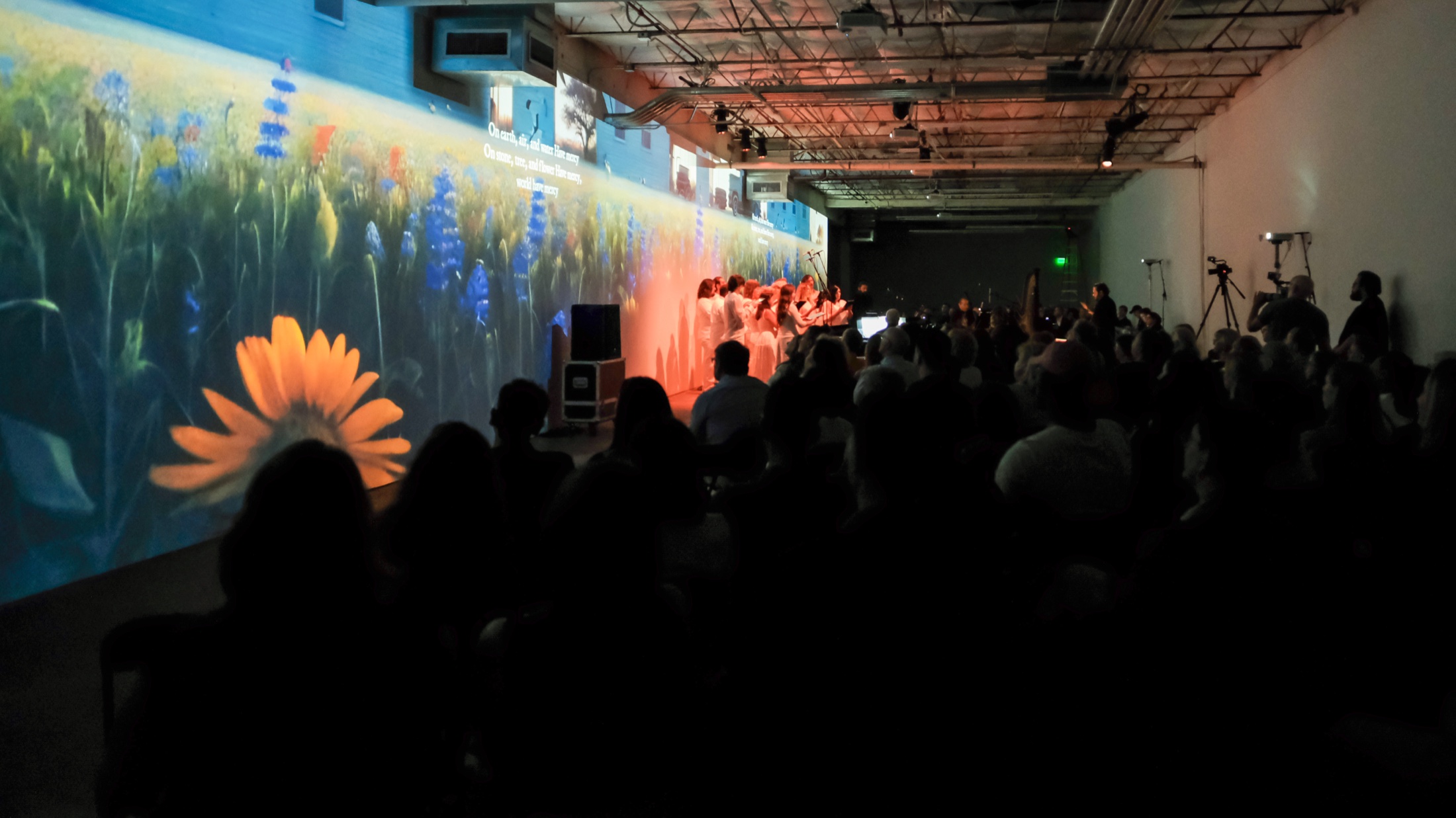 The Endangered wide room view with audience facing a large projected wall