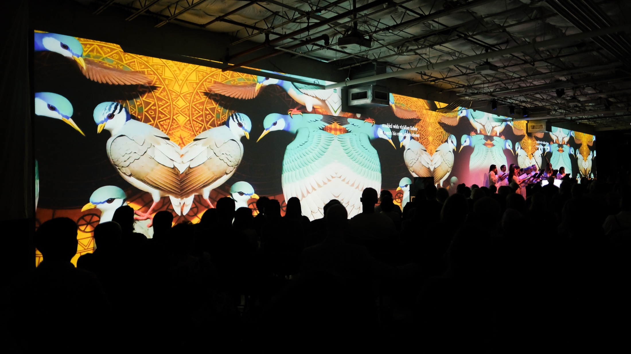 The Endangered wide wall projection with bird imagery and audience silhouettes